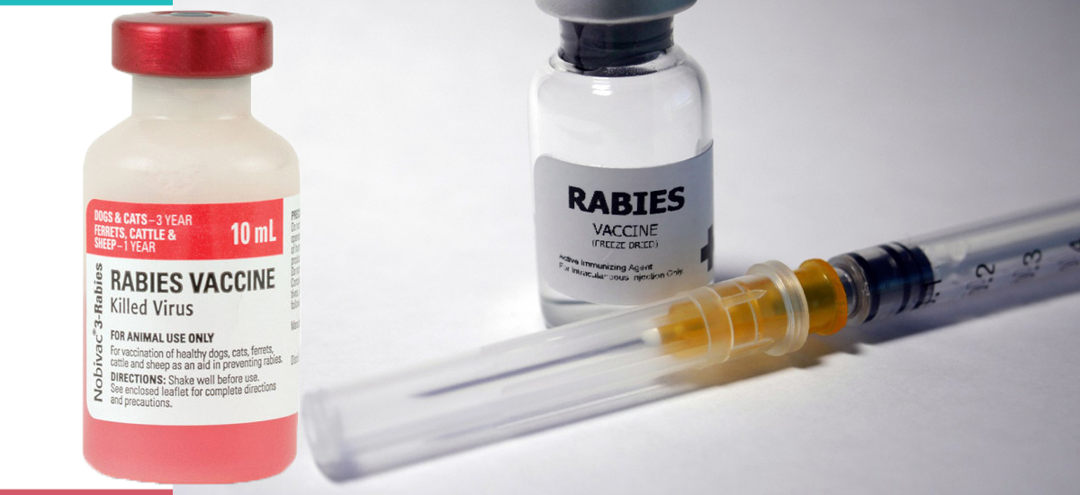Scarcity of Anti-Rabies Vaccine in Baitadi
