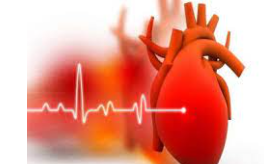 780 people receive services from heart check-up camp