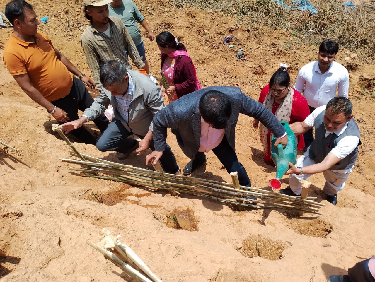 Landslide prevention through biotechnology in Godavari