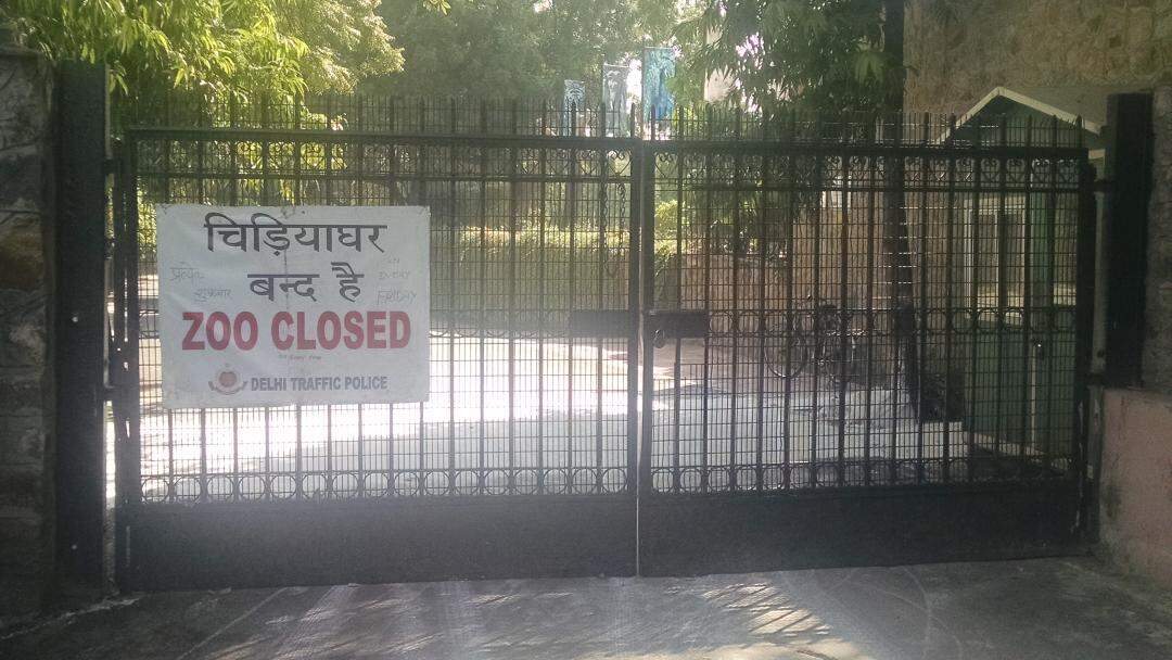 All zoos, safari parks temporarily shut after tigress ‘Shakti’ dies of Avian Influenza