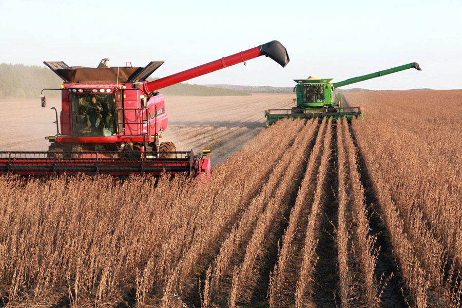 China-Brazil agricultural partnership benefits both
