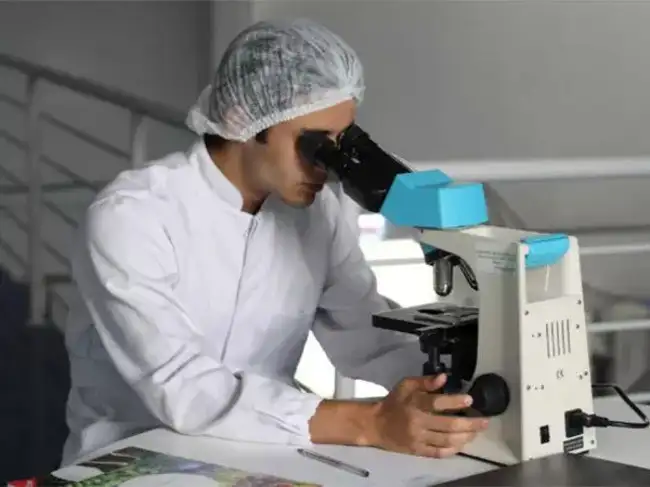 Natural compound targets tumour metabolism: Study