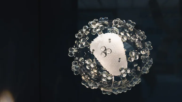 ‘Selfish’ genes called ‘introners’ proves to be major source of genetic complexity: Study
