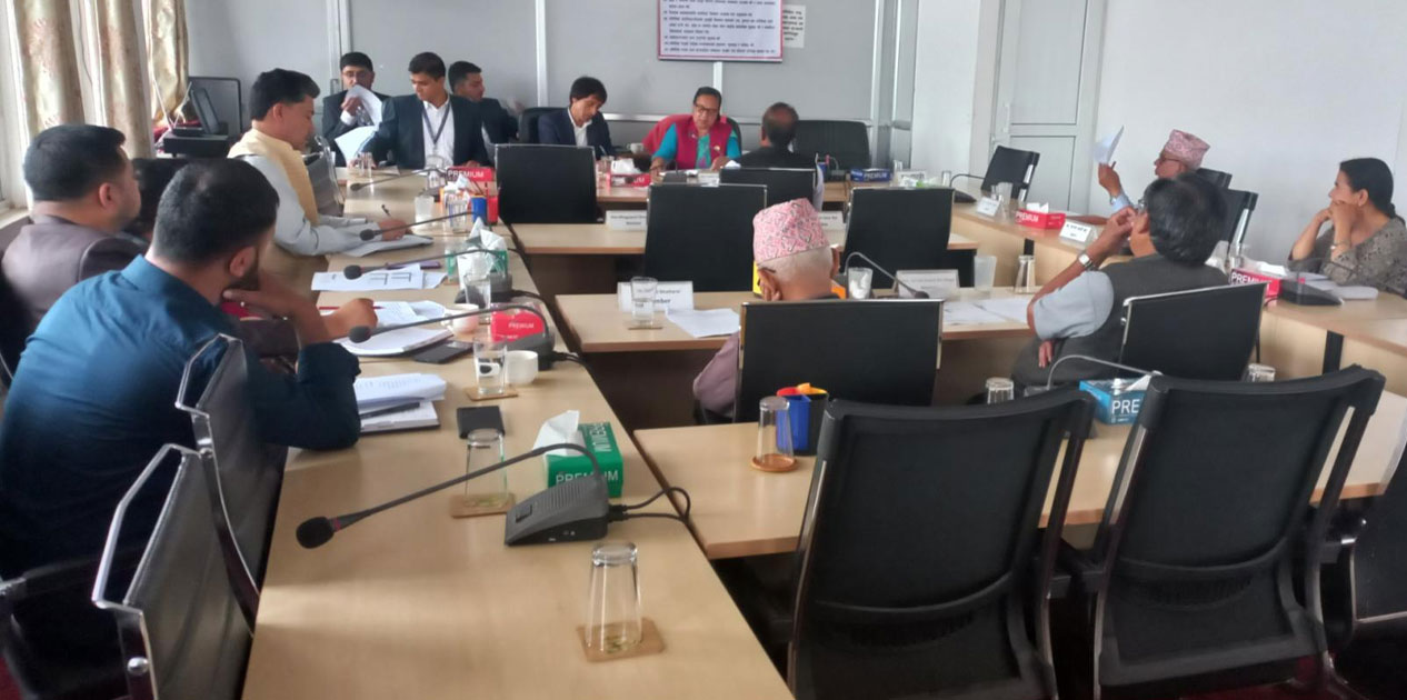 Parliamentary panel accesses child participation provisions in four provinces