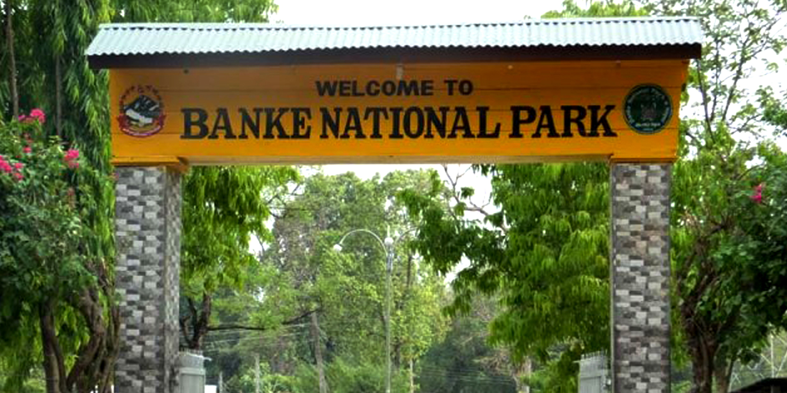 430 tourists visit Banke National Park