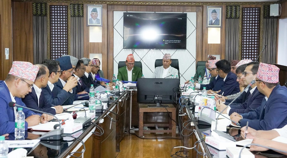 Energy Minister wants subordinate bodies for prompt service delivery