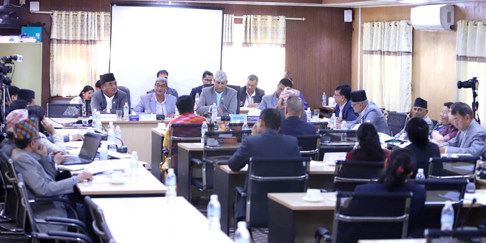 State Affairs Committee concludes discussions with lawmakers on Citizenship Bill