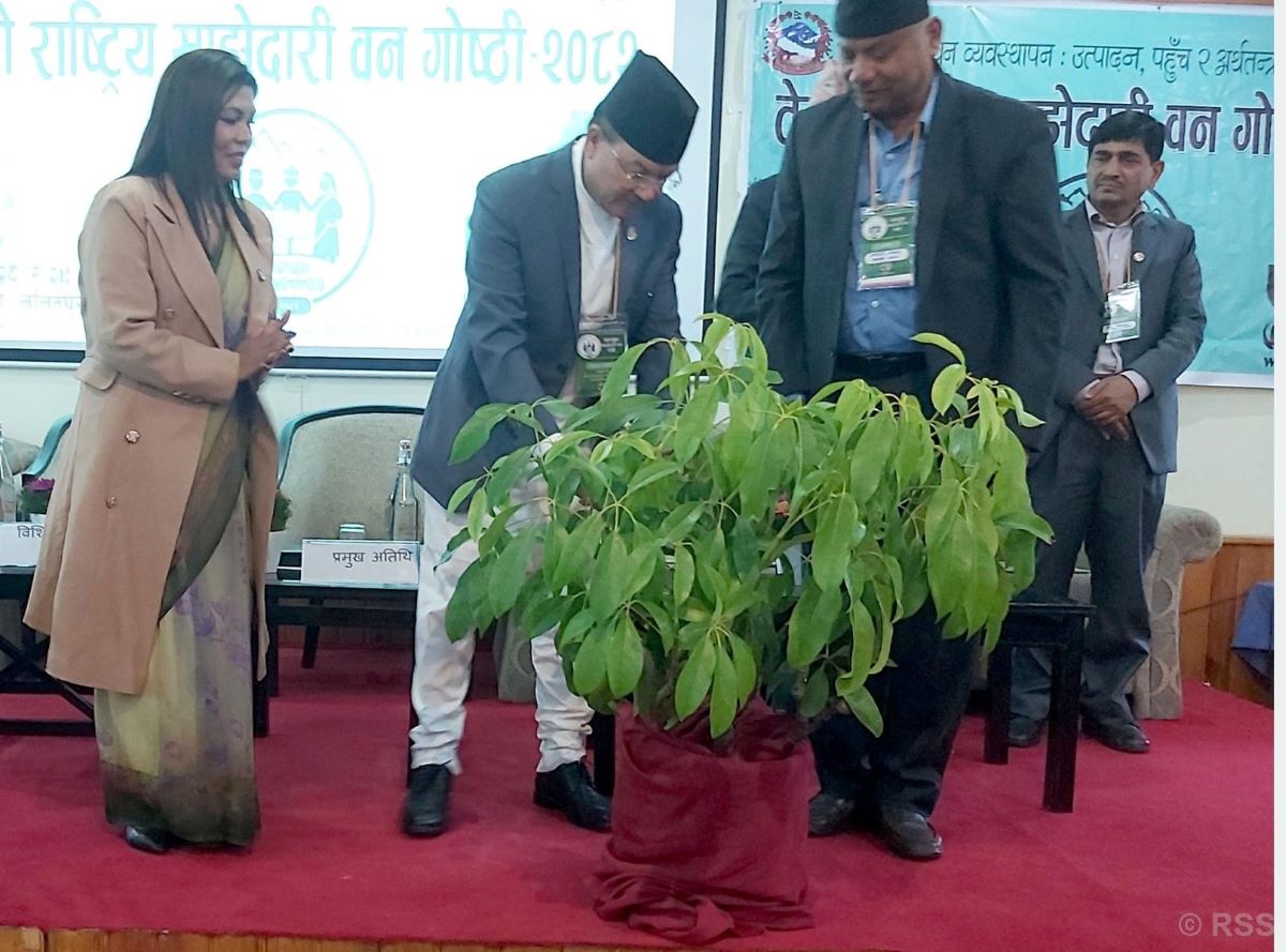Community forestry should work to benefit impoverished communities, reiterates Forests Minister