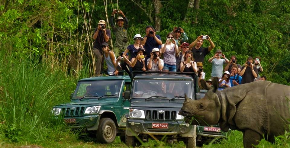 Jeep safari to be suspended in CNP from June 29