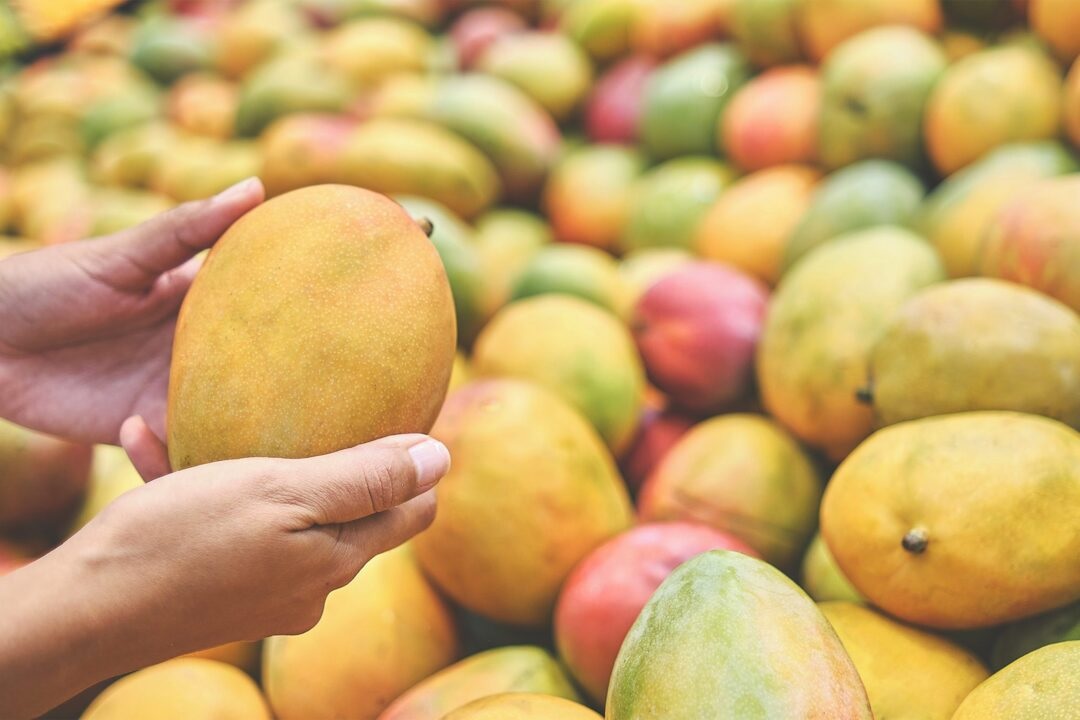 Dhangadhi Sub-Metropolis disposes 2,267-kg mango laced with chemical