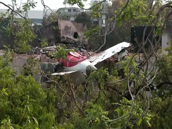 Air India plane crash: 177 DNA matches confirmed, says Gujarat Home Minister
