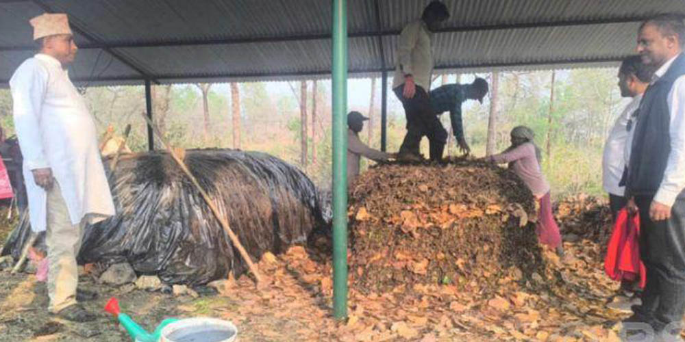 A community forest users’ group killing two birds with one stone in Dang
