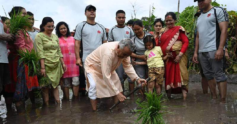 President Paudel participates in paddy transplanting ceremony