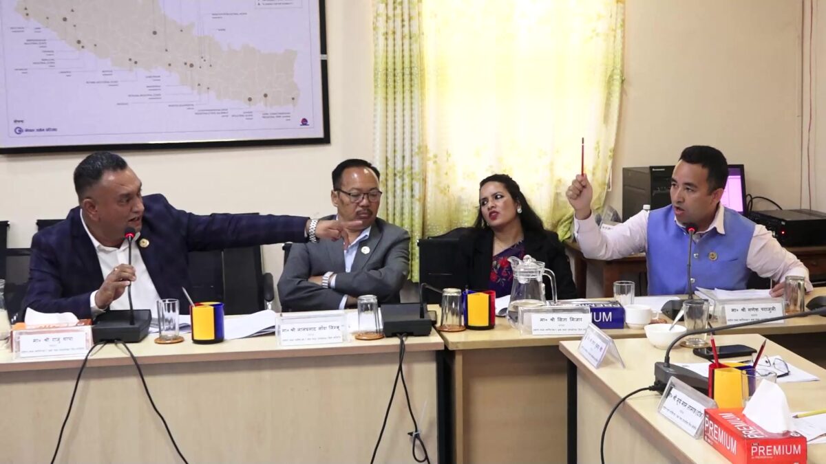 Tensions flare in parliament committee over visit visa scandal