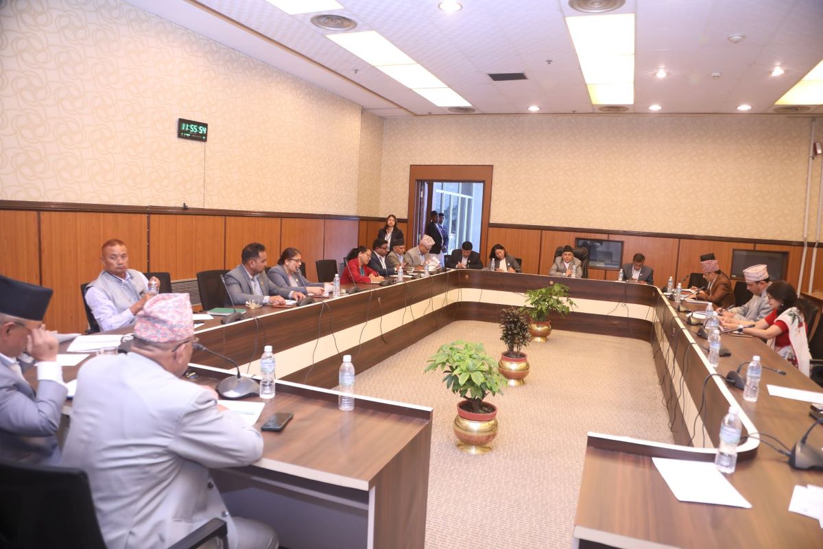 7-member special committee formed to probe cooling-off period controversy