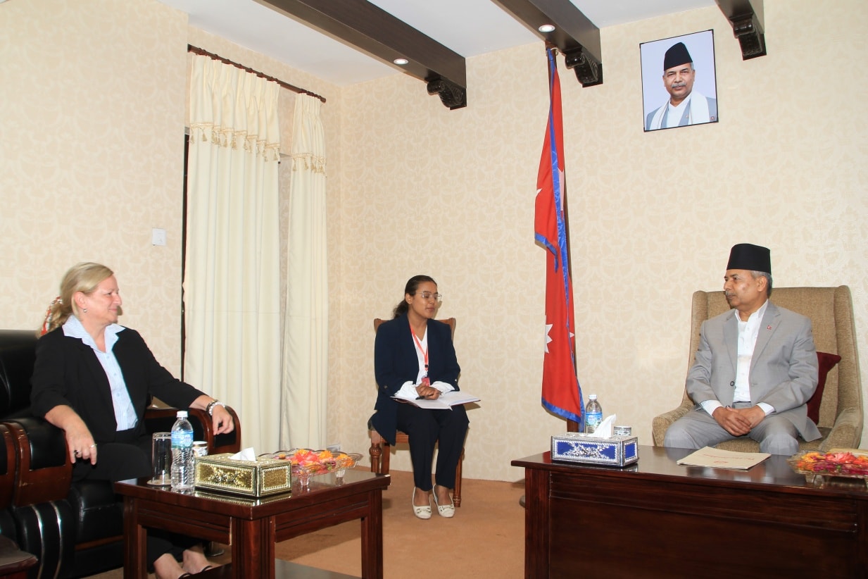 French Ambassador calls on Vice President