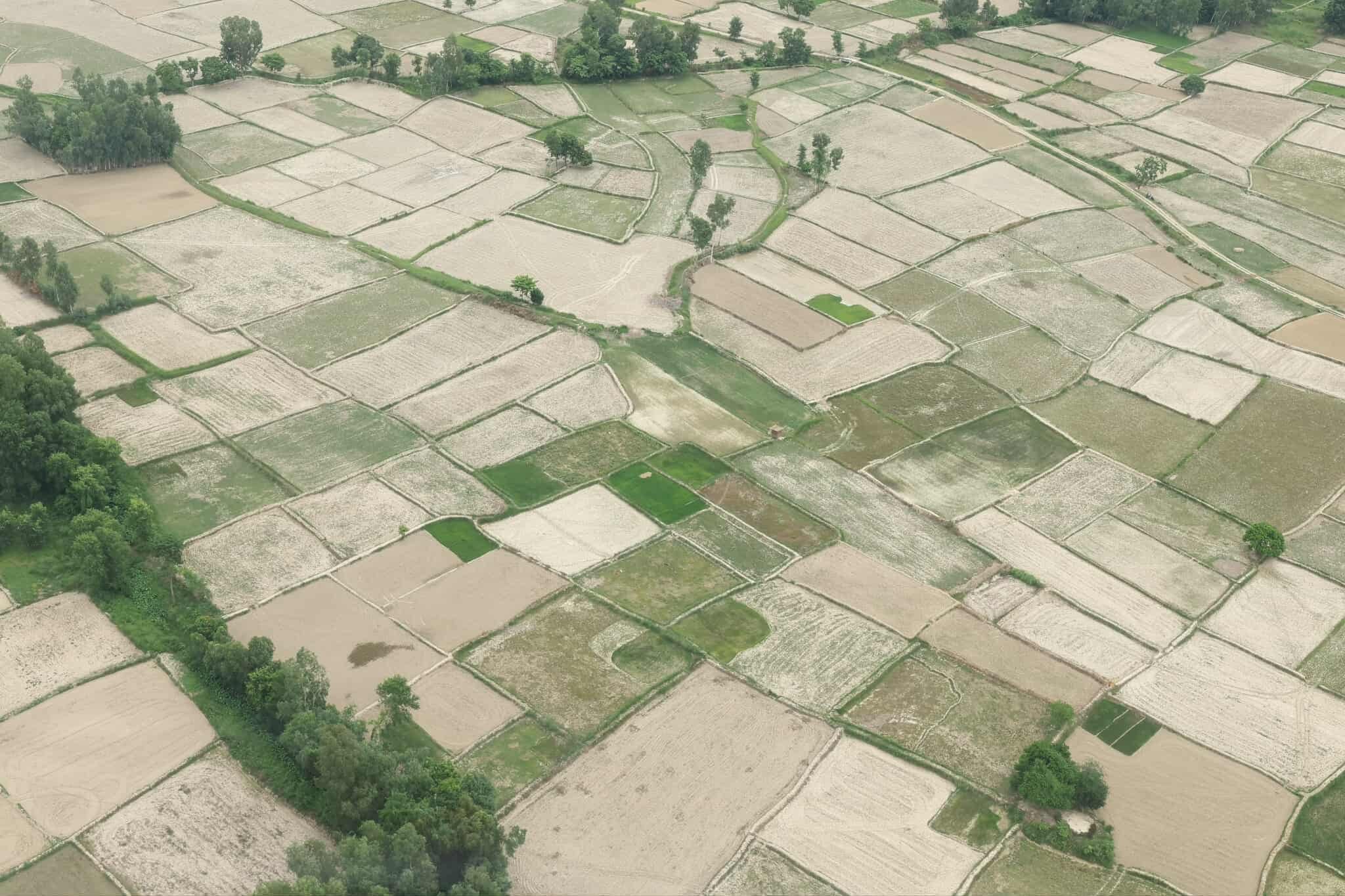 Everything You should Know About the Madhes Drought: Causes, Impact, and Government Response