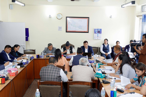 Education Committee dwells on Media Council Bill
