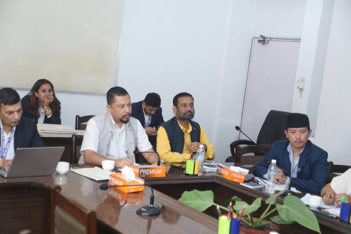 Nepal–UK Parliamentary Friendship Group discusses policy exchange and investment promotion