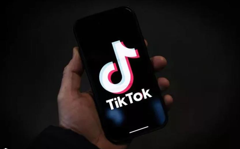 Pakistani father kills daughter over TikTok account: police
