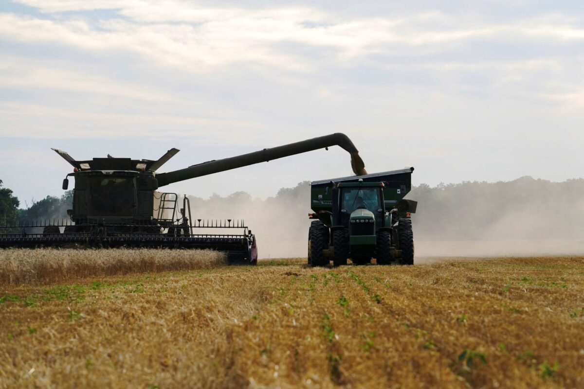 Bangladesh signs deal with US to import 7,00,000 tonnes of wheat annually ahead of tariff talks