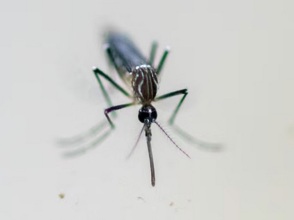 Italy records 10th death due to West Nile virus