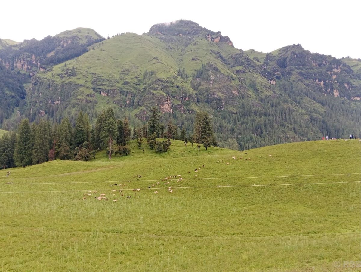 Dhimichour of Jumla turning attractive tourism destination