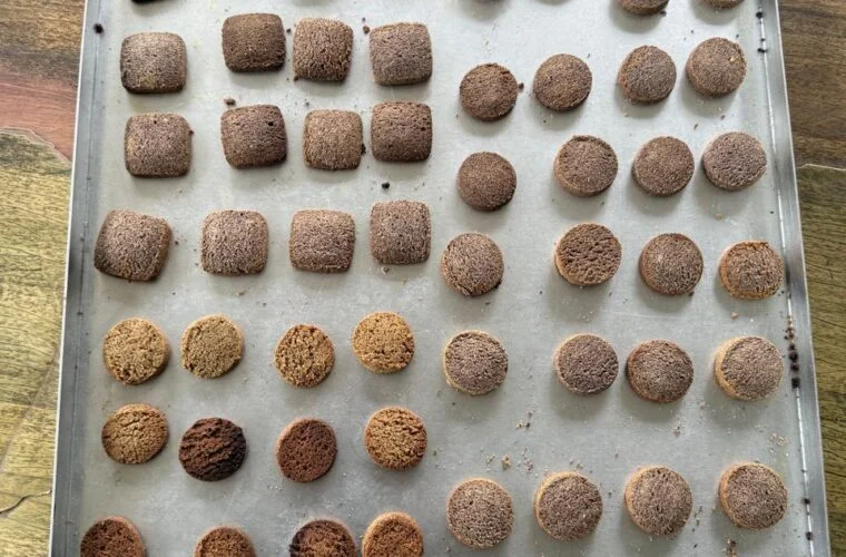 Industry established to manufacture millet biscuits