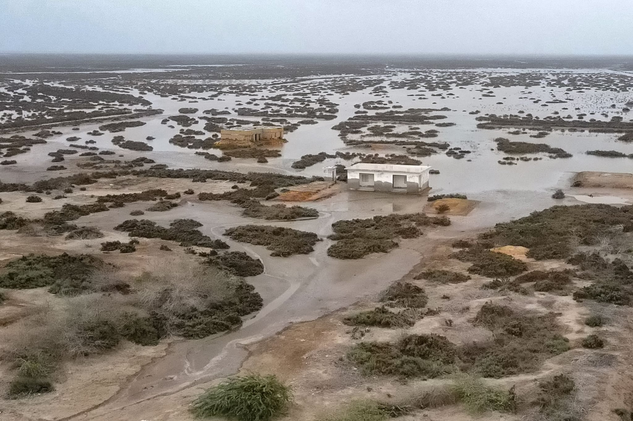 Death of a delta: Pakistan’s Indus sinks and shrinks