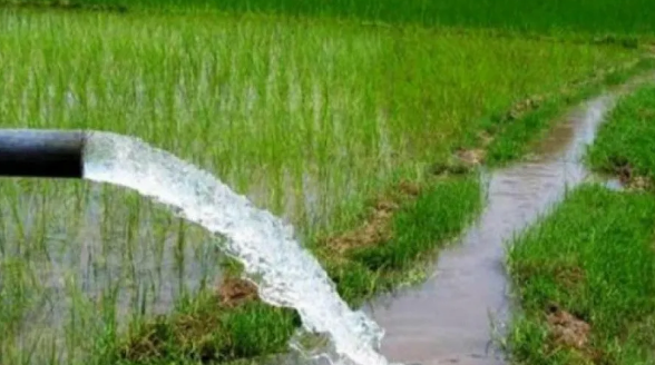 60,367 hectares of fertile land gets irrigation facility in Dang