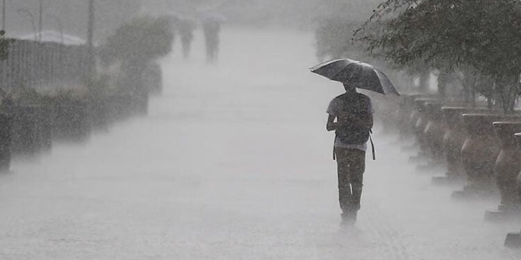 Up to 129 mm of rain in Jhapa in 24 hours