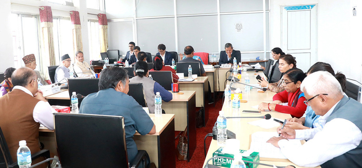 Two parliamentary committees meeting today