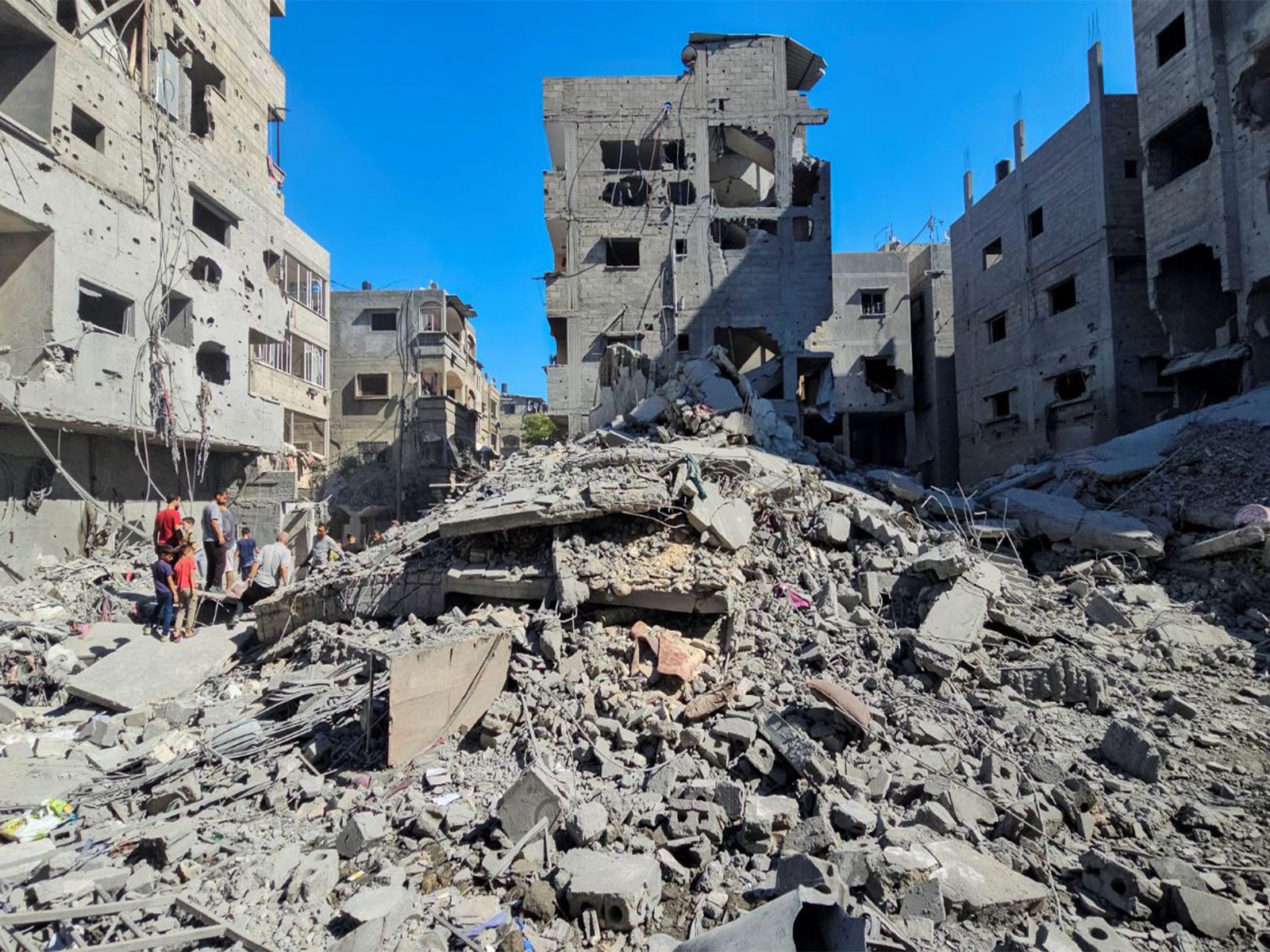 UN Special Rapporteur: Israel Occupation Forces Committing Genocide in Gaza