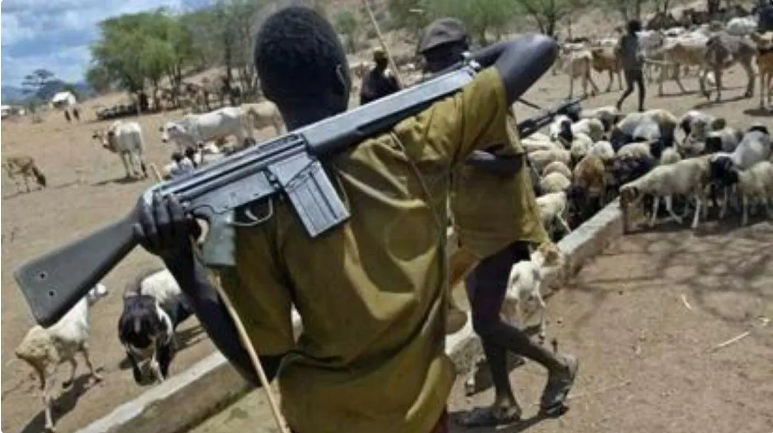 Bandits’ kidnap 18 women, children in Nigeria: sources