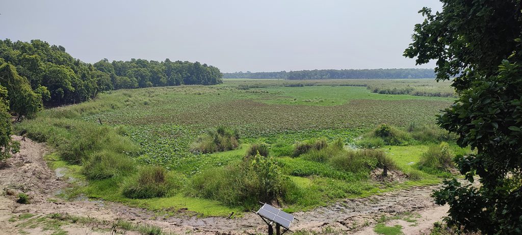Scourge of climate change: Lakes in Shuklaphanta National Park drying up