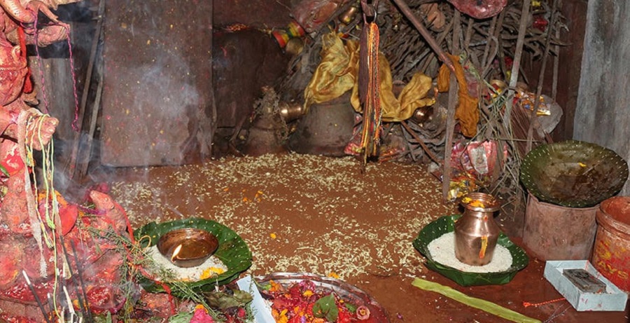Jamara sowed in Gorkhadurbar