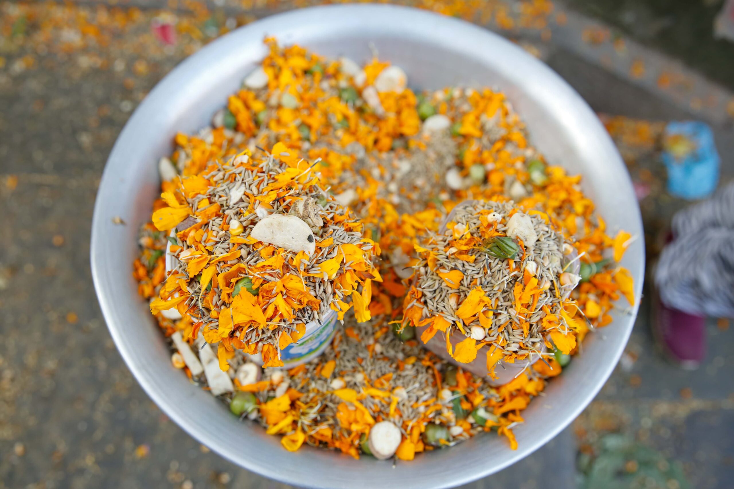 Nepali community in Canada observe Bala Chaturdashi