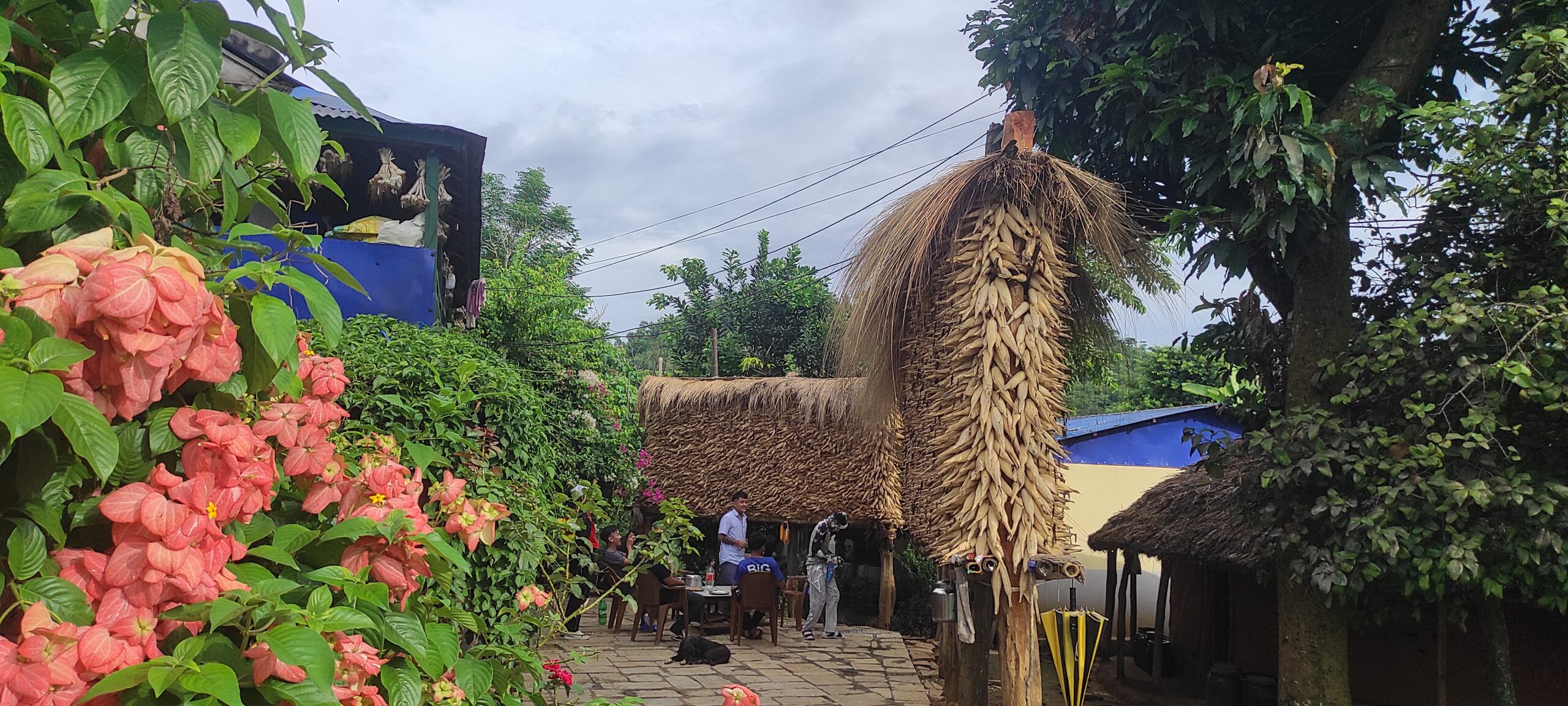 Production of maize increases in Tanahun