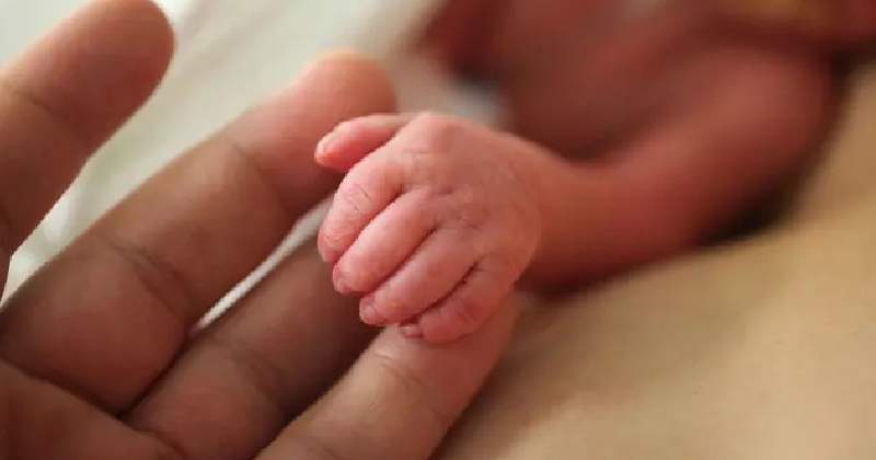 Ophthalmologists suggest timely medical intervention for pre-mature babies