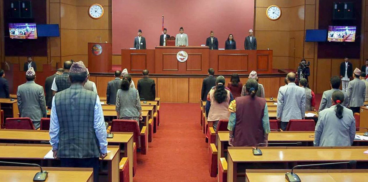 Expertise dwindles as National Assembly becomes a shadow of HoR