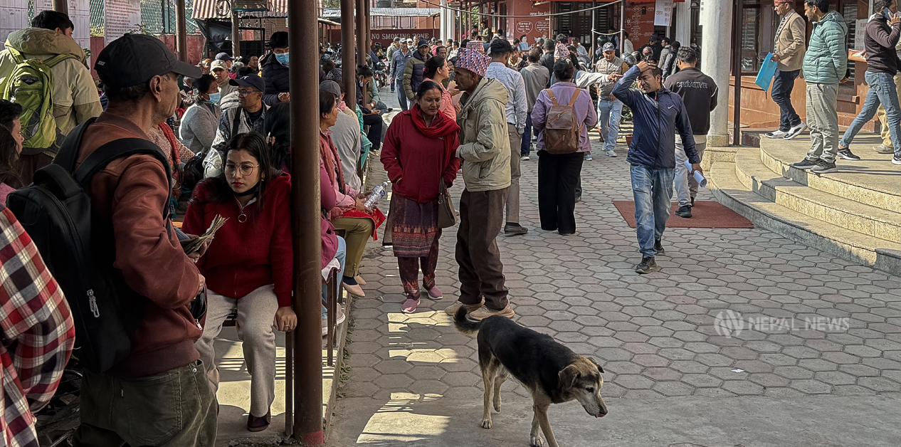 From transport to land offices, brokers hijack services nationwide