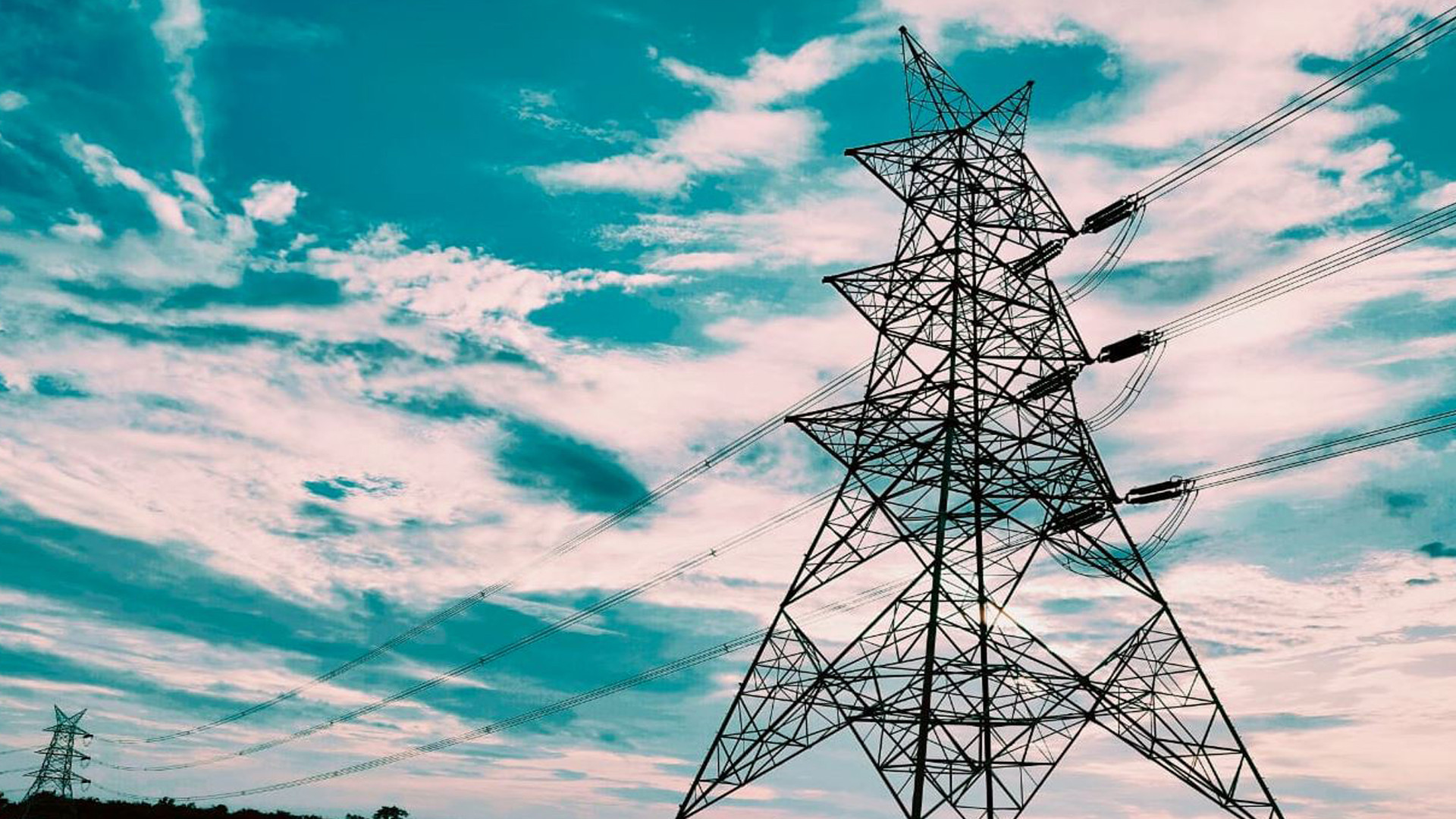 Tribeni Synthetic pays electricity dues