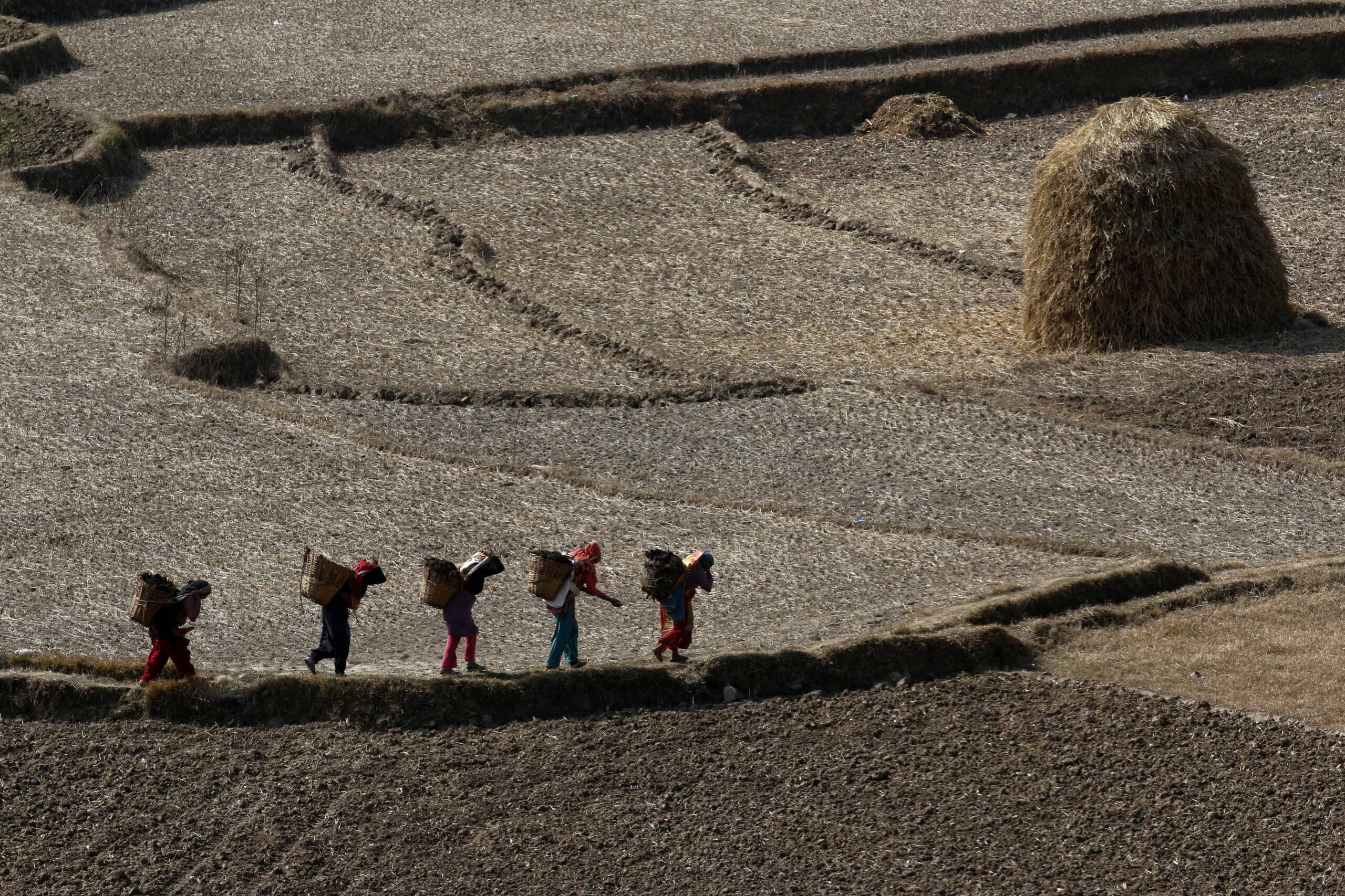Nepali farmers endure without a moment’s pause (Photo of the Week)