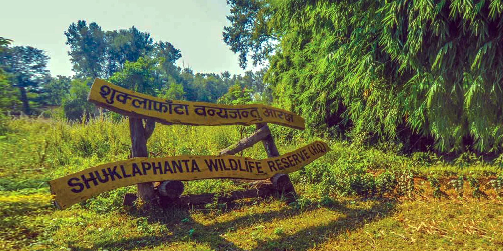 514.31 hectares of Shuklaphanta National Park encroached