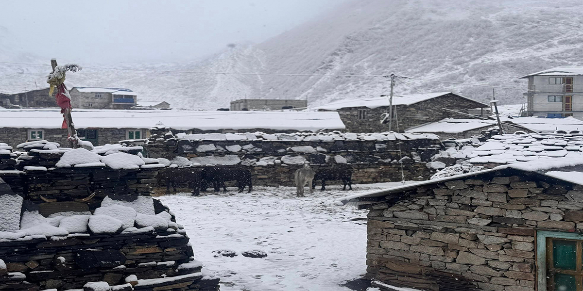 Three dead, eight missing in avalanche at Rolwaling, Dolakha