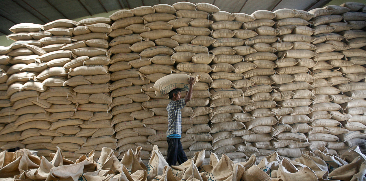 Vulnerable Nepali farmers faces looming threat of cheap Indian rice