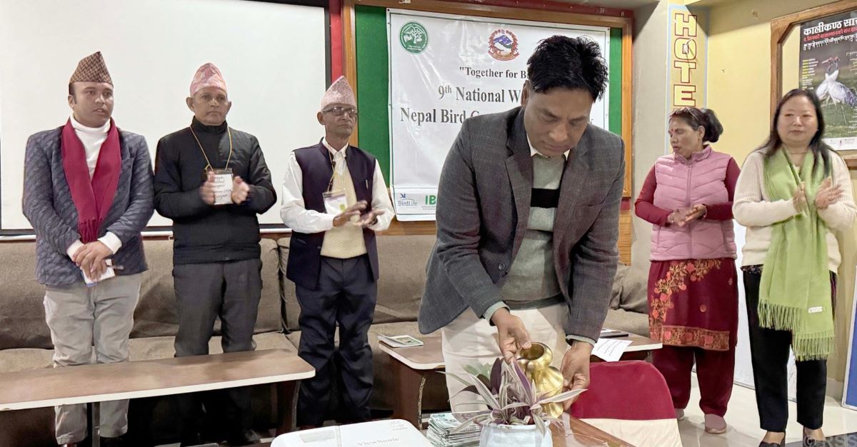 Conservationists draw concerns on protection of rare birds