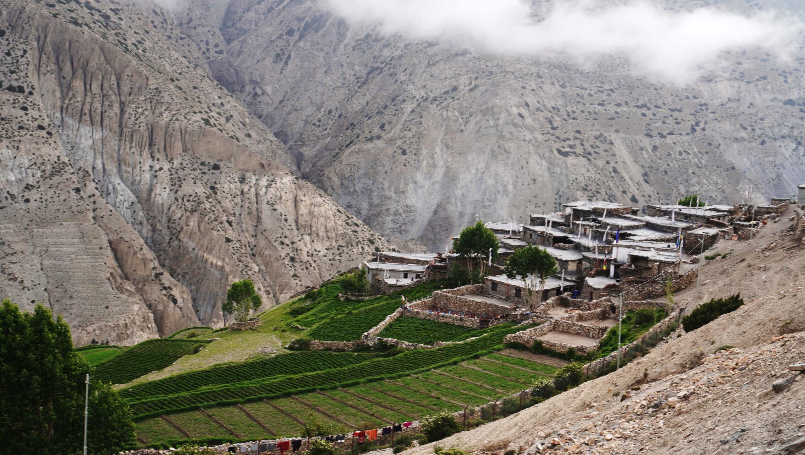 Illegally run mining industry closed