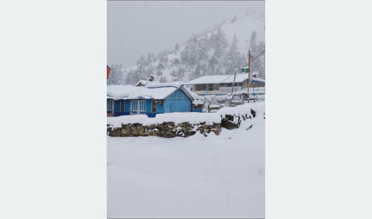 Farmers excited with winter rainfall