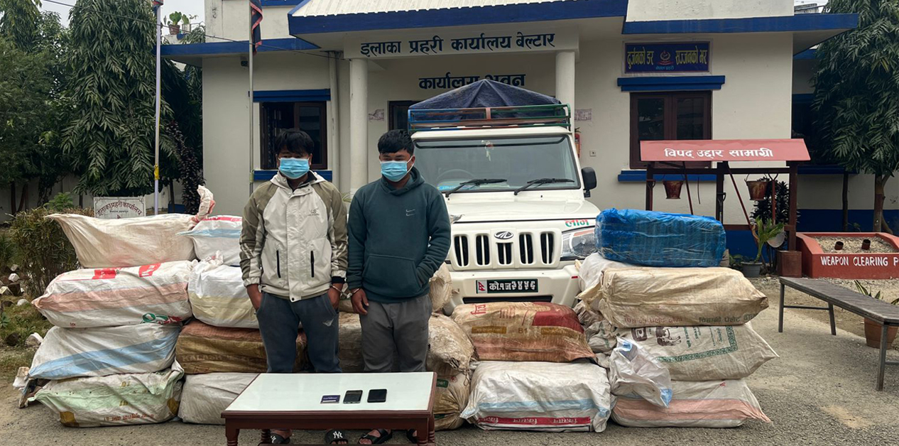 Nepal’s Drug Divide: Marijuana in the east, hashish and opium in central and western districts